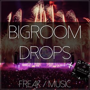 Download Sample pack Bigroom Drops