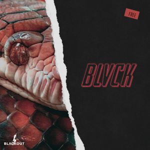 Download Sample pack Blvck