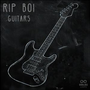 Download Sample pack RipBoi Guitars