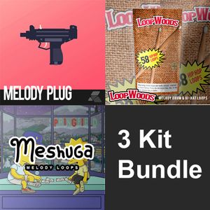 Download Sample pack Melody Loops Bundle