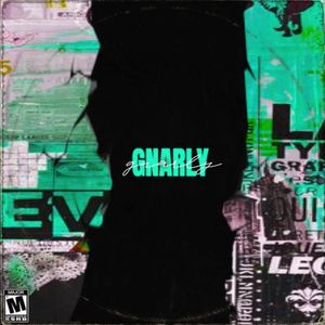 Download Sample pack Gnarly