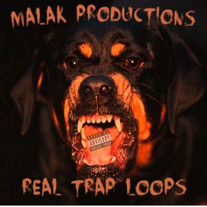 Download Sample pack Real Trap Loops