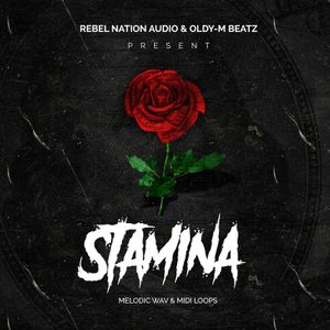 Download Sample pack Stamina