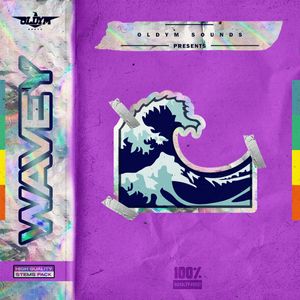 Download Sample pack WAVEY - RnB Construction Kits