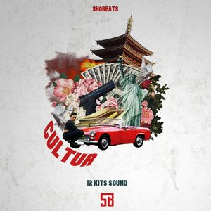 Download Sample pack CULTUR (12 Construction Kits)