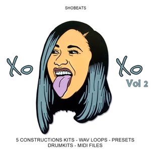 Download Sample pack XOXO .Vol 2 (Sound Kits)