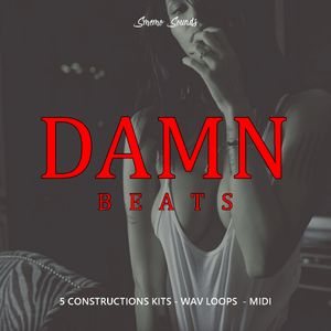 Download Sample pack DAMN BEATS