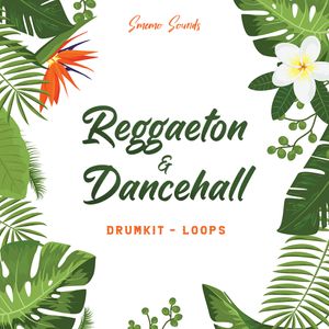 Download Sample pack REGGAETON & DANCEHALL