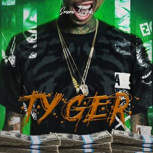 Download Sample pack TYGER (Sound Kits)