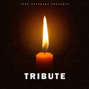 Download Sample pack Tribute