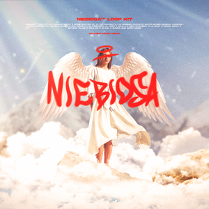 Download Sample pack NIEBIOSA LOOP KIT