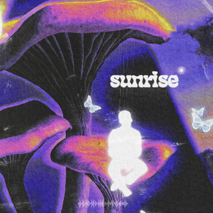 Download Sample pack Sunrise Sample Pack