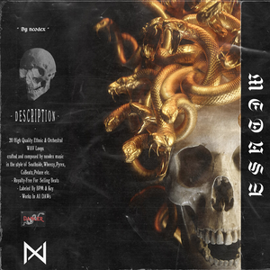 Download Sample pack MEDUSA - Orchestral & Ethnic Loop Kit