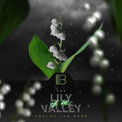 Download Sample pack Lily Of The Valley - Analog Labs V Bank