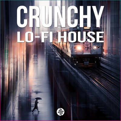 Download Sample pack Crunchy Lo-Fi House