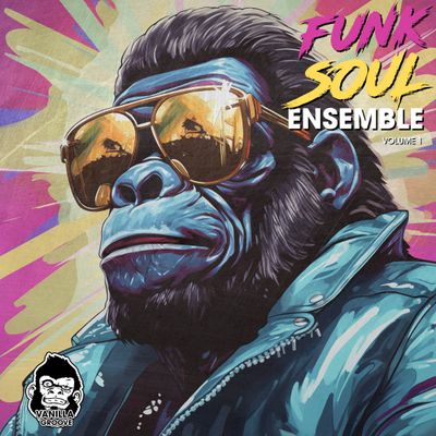 Download Sample pack Funk Soul Ensemble Vol 1