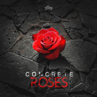 Download Sample pack Concrete Roses