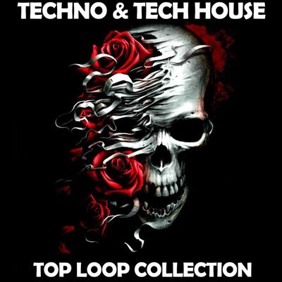 Download Sample pack Techno & Tech House Top Loop Collection by Skull Label