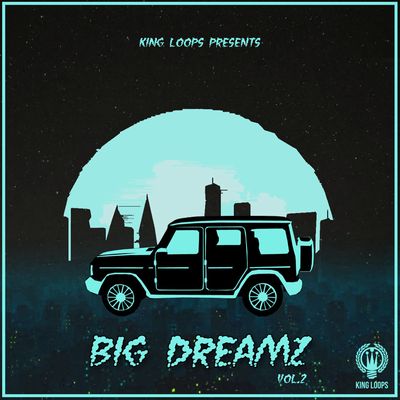 Download Sample pack Big Dreamz Vol 2