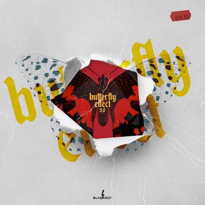 Download Sample pack Butterfly Effect 3