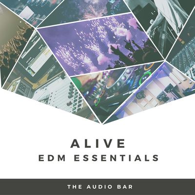Download Sample pack Alive EDM Essentials
