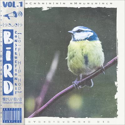 Download Sample pack Bird Vol 1