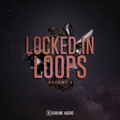 Download Sample pack Locked in Loops Vol. 2