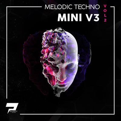 Download Sample pack Melodic Techno Loops & Mini V3 Presets Vol.2