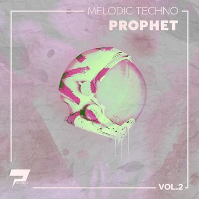 Download Sample pack Melodic Techno Loops & Prophet Presets Vol.2