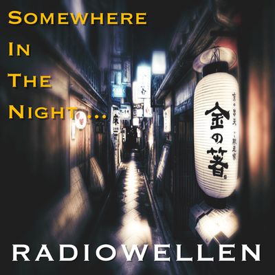 Download Sample pack Somewhere In The Night…