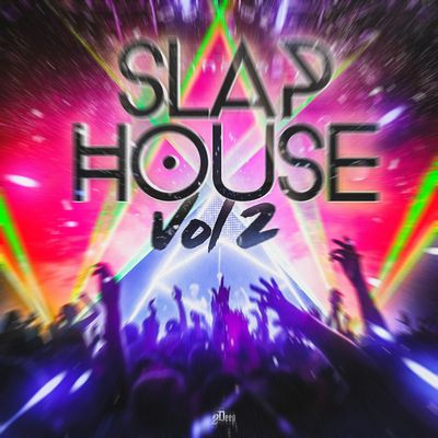Download Sample pack Slap House Vol.2