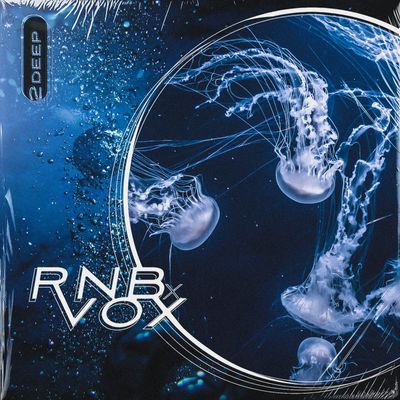 Download Sample pack RNB X VOX