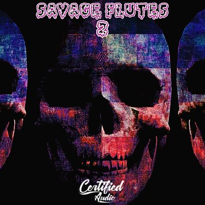 Download Sample pack Savage Flutes 2