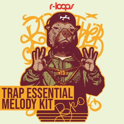 Download Sample pack Trap Essential Melody Kit
