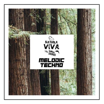 Download Sample pack Natura Viva Sounds