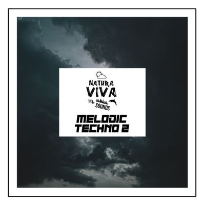 Download Sample pack Natura Viva Sounds - Melodic Techno 2