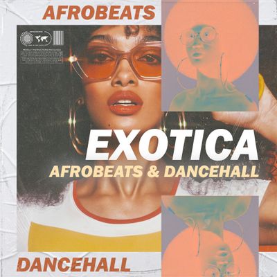 Download Sample pack Exotica - Afrobeats & Dancehall
