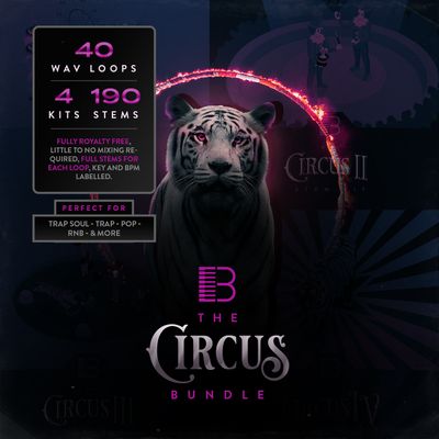 Download Sample pack The Circus Bundle