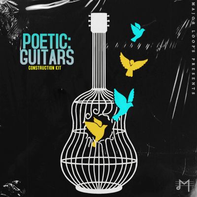 Download Sample pack Poetic: Guitars