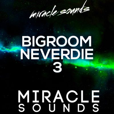 Download Sample pack BIGROOM NEVERDIE 3