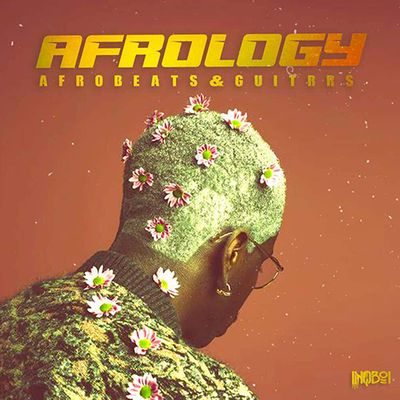 Download Sample pack Afrology: Afrobeats & Guitars