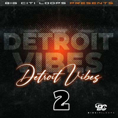 Download Sample pack Detroit Vibes 2