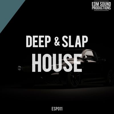 Download Sample pack Deep & Slap House