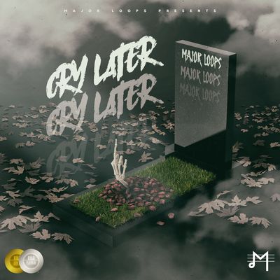 Download Sample pack Cry Later