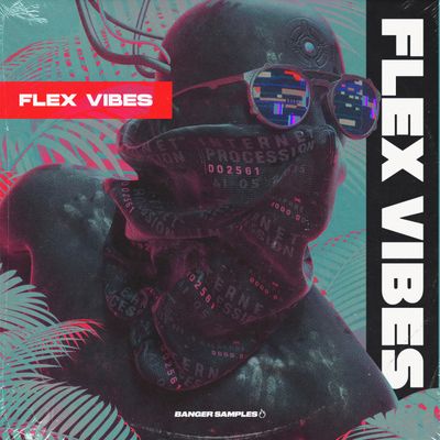 Download Sample pack Flex Vibes