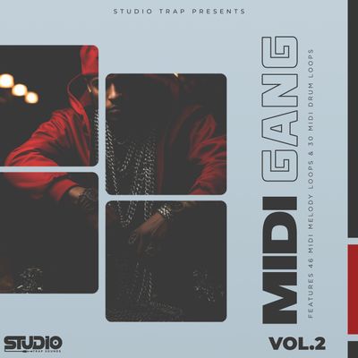 Download Sample pack MIDI Gang Vol.2