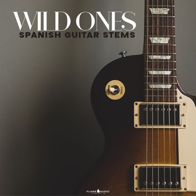 Download Sample pack Wild Ones: Spanish Guitar Stems