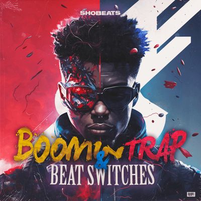 Download Sample pack Booming Trap & Beat Switches
