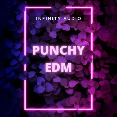 Download Sample pack Punchy EDM