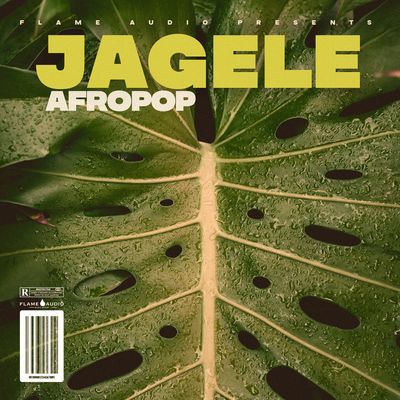 Download Sample pack JAGELE AFROPOP